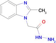 2-(2-methyl-1H-benzimidazol-1-yl)acetohydrazide