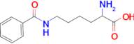 2-amino-6-(benzoylamino)hexanoic acid