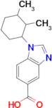 1-(2,3-dimethylcyclohexyl)-1H-benzimidazole-5-carboxylic acid