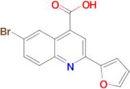 6-bromo-2-(2-furyl)quinoline-4-carboxylic acid