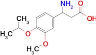 3-amino-3-(4-isopropoxy-3-methoxyphenyl)propanoic acid