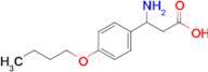 3-amino-3-(4-butoxyphenyl)propanoic acid