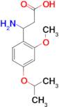 3-amino-3-(4-isopropoxy-2-methoxyphenyl)propanoic acid