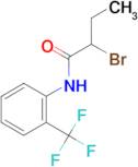 2-bromo-N-[2-(trifluoromethyl)phenyl]butanamide