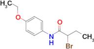 2-bromo-N-(4-ethoxyphenyl)butanamide