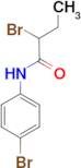 2-bromo-N-(4-bromophenyl)butanamide