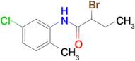 2-bromo-N-(5-chloro-2-methylphenyl)butanamide