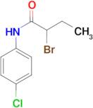 2-bromo-N-(4-chlorophenyl)butanamide