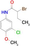 2-bromo-N-(3-chloro-4-methoxyphenyl)butanamide