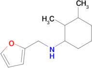 N-(2,3-dimethylcyclohexyl)-N-(2-furylmethyl)amine