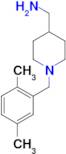 [1-(2,5-dimethylbenzyl)piperidin-4-yl]methylamine
