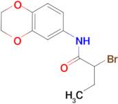 2-bromo-N-2,3-dihydro-1,4-benzodioxin-6-ylbutanamide