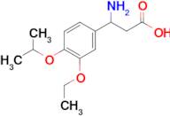 3-amino-3-(3-ethoxy-4-isopropoxyphenyl)propanoic acid