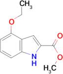 methyl 4-ethoxy-1H-indole-2-carboxylate