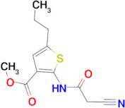 methyl 2-[(cyanoacetyl)amino]-5-propylthiophene-3-carboxylate