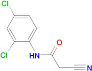 2-cyano-N-(2,4-dichlorophenyl)acetamide