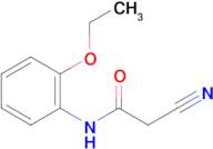 2-cyano-N-(2-ethoxyphenyl)acetamide