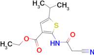 ethyl 2-[(cyanoacetyl)amino]-5-isopropylthiophene-3-carboxylate