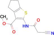 methyl 2-[(cyanoacetyl)amino]-5,6-dihydro-4H-cyclopenta[b]thiophene-3-carboxylate