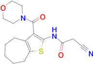 2-cyano-N-[3-(morpholin-4-ylcarbonyl)-5,6,7,8-tetrahydro-4H-cyclohepta[b]thien-2-yl]acetamide