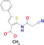 methyl 2-[(cyanoacetyl)amino]-5-phenylthiophene-3-carboxylate