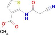 methyl 2-[(cyanoacetyl)amino]thiophene-3-carboxylate