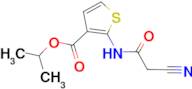 isopropyl 2-[(cyanoacetyl)amino]thiophene-3-carboxylate
