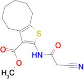 methyl 2-[(cyanoacetyl)amino]-4,5,6,7,8,9-hexahydrocycloocta[b]thiophene-3-carboxylate
