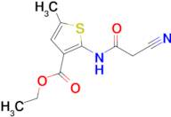 ethyl 2-[(cyanoacetyl)amino]-5-methylthiophene-3-carboxylate