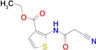 ethyl 2-[(cyanoacetyl)amino]thiophene-3-carboxylate