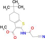 methyl 6-tert-butyl-2-[(cyanoacetyl)amino]-4,5,6,7-tetrahydro-1-benzothiophene-3-carboxylate