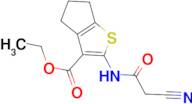 ethyl 2-[(cyanoacetyl)amino]-5,6-dihydro-4H-cyclopenta[b]thiophene-3-carboxylate