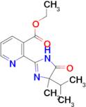 ethyl 2-(4-isopropyl-4-methyl-5-oxo-4,5-dihydro-1H-imidazol-2-yl)nicotinate