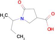 1-sec-butyl-5-oxopyrrolidine-3-carboxylic acid