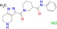 1-[(1-methyl-4,5,6,7-tetrahydro-1H-pyrazolo[4,3-c]pyridin-3-yl)carbonyl]-N-phenylpiperidine-3-ca...