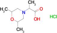 2-(2,6-dimethylmorpholin-4-yl)propanoic acid hydrochloride