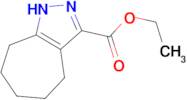 ethyl 2,4,5,6,7,8-hexahydrocyclohepta[c]pyrazole-3-carboxylate