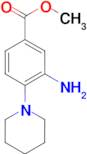 methyl 3-amino-4-piperidin-1-ylbenzoate