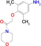 [3,5-dimethyl-4-(2-morpholin-4-yl-2-oxoethoxy)phenyl]amine