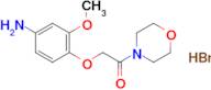 [3-methoxy-4-(2-morpholin-4-yl-2-oxoethoxy)phenyl]amine hydrobromide