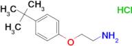 [2-(4-tert-butylphenoxy)ethyl]amine hydrochloride