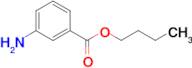 butyl 3-aminobenzoate