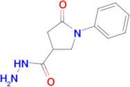 5-oxo-1-phenylpyrrolidine-3-carbohydrazide