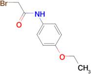 2-bromo-N-(4-ethoxyphenyl)acetamide