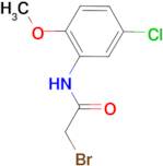 2-bromo-N-(5-chloro-2-methoxyphenyl)acetamide