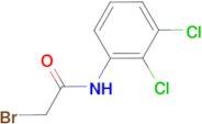 2-bromo-N-(2,3-dichlorophenyl)acetamide