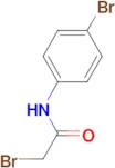 2-bromo-N-(4-bromophenyl)acetamide