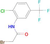 2-bromo-N-[2-chloro-5-(trifluoromethyl)phenyl]acetamide