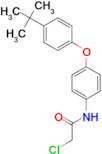 N-[4-(4-tert-butylphenoxy)phenyl]-2-chloroacetamide