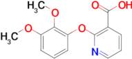 2-(2,3-dimethoxyphenoxy)nicotinic acid